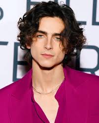 400 Men And Fashion Ideas In 2020 Timmy T Timothee Chalamet Men