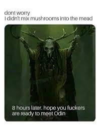 Norse memes for wannabe bandwagon "viking" fucktards - Photos ...