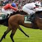 Evening Racing event image
