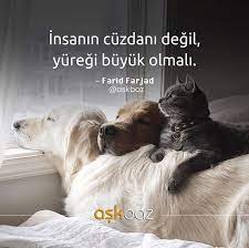 saniye birturk adli kullanicinin sanis panosundaki pin kopek guzel soz resimler