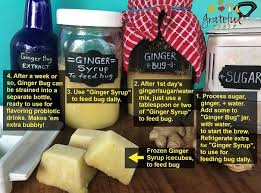 Ginger Bug Easy Recipe Healthy Gingerale Grateful Table In 2020 Easy Meals Ginger Bug Flavored Drinks