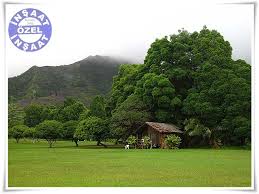 Belediyeden izin alınması için mimari projesi ile ve diğer gerekli belgelerin temin edilmesi gerekiyor. Ozel Insaat Com 25 Yildir Hizmetinizde