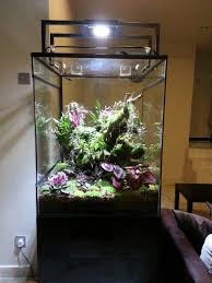 6ae18218332985ee1594ddba214c6596 Jpg 384 512ピクセル Vivarium