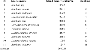 Image result for Oreobambos