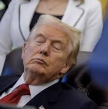 The #DawgPound is taking London by storm!