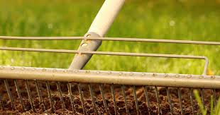 Im frühjahr, im spätsommer und im herbst werden die temperaturansprüche in mitteleuropäischen gebieten gut erfüllt. Rasen D Schnell Zu Neuem Rasen Liebe Deinen Garten