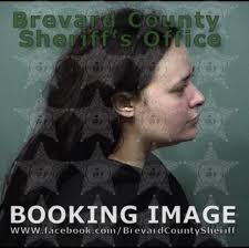Arrests In Brevard County: November 25, 2023