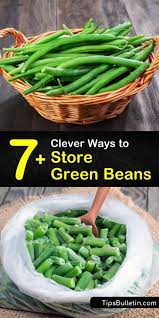 Check spelling or type a new query. 7 Clever Ways To Store Green Beans