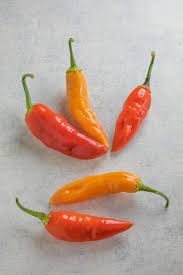 Bird S Eye Chili Substitute Chili Pepper Types A List Of Chili Peppers And Their Heat Levels Chili Pepper Madness Stuffed Peppers Chili Pepper Hot Chili