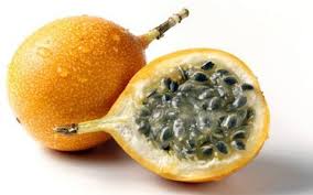 Dengan sumber kaya lainnya,seperti sayuran hijau dan susu,. Buah Markisa Kaya Khasiat Persagi Bandung