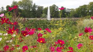 Le Potager du Roi à Versailles - L'Evasion des Sens