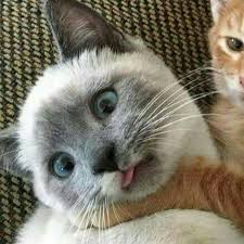 Maybe you would like to learn more about one of these? Pp Couple Keren W Posts Facebook