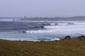 Our team are all technically trained and fully insured. Covid 19 Swellnet And The Way Forward Surfpolitik Swellnet