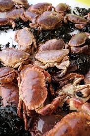 Tourteaux Du Cotentin Pinterest Cherbourg Normandie Et Le Happy