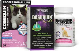 Dasuquin is a proud member of this family, and they offer joint health supplements for both dogs and cats. Nutramax Dasuquin Joint Health Cat Supplement 84 Count Chewy Com