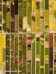 Aerial Photograph Of A Flower Farm California Agriculture Fairfield Californi Picture For You Aerial Photography California Agriculture Aerial Photograph