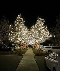 Canopy Of Lights Event Lighting Christmas Light Installation Christmas Lights
