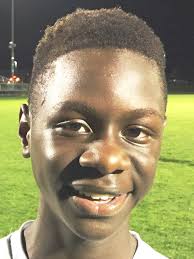 Novi ousts KLAA champ Northville in district opener, 1-0