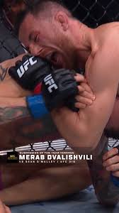 OnThisDay in 2008: Brock Lesnar dominated Heath Herring in only his second  UFC fight!