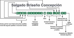 Consulta tu curp gratis online. Consulta Tu Curp