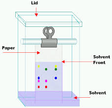 Paper Chromatography Wikipedia