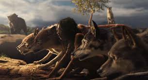Maybe you would like to learn more about one of these? Mowgli Is Real Life Character Kipling S Inspiration For The Jungle Book