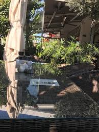 Maride Cafe Bahce 1 Maride Cafe Bitez Resmi Tripadvisor