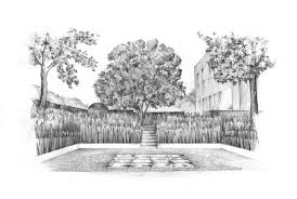 Long Island Garden Grass Amphitheatre Pencil Drawing Alan Hughes Flower Garden Drawing Garden Drawing Landscape Illustration