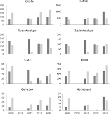 Image result for Thesium megalocarpum