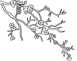 Kenapa tak mencoba menggambar sketsa bunga sakura saja. Contoh Lukisan Bunga Sakura Yang Mudah Ditiru Cikimm Com