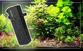 A twenty gallon tank can comfortably house fish load totaling up to twenty inches in length. 10 Best Filters For 20 Gallon Aquariums Updated 2021