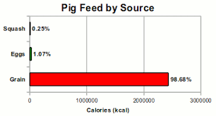 Complete Costs Of Raising Pigs Farm Folly