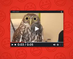 The 42 Funniest Youtube Videos Under 1 Minute Internet Funny Funny Funny Gif