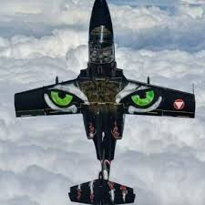 Built in 1958, the plane has had an illustrious past. Flying Bulls Cobra Unfall
