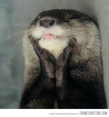 Happy Otter Is Happy Cute Animals Animals Animals Beautiful