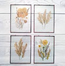Herbarium Set Of 4 Pressed Flower Frame Botanical Art Etsy Framed Botanical Art Botanical Art Pressed Flower Art