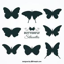 Only the best hd background pictures. White Butterfly Images Free Vectors Stock Photos Psd