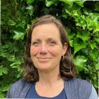 100+ 'Plate' profiles