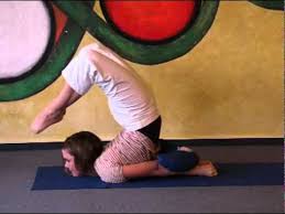 Hier findest du fortgeschrittene yogastunden anleitungen als audio mp3 dateien. Shalabhasana Fortgeschrittene Yoga Asana Heuschrecke Youtube