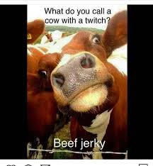 Pin By Angela Ware On Anti Vegan Videos Funny Youtube Cute Boy Quotes Dad Humor