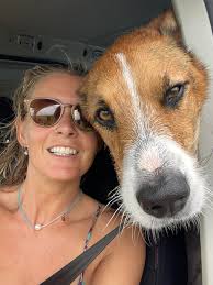 Hi there looking for a dog home boarder or pet sitter to look after our  collie and spaniel for New Year's Eve x