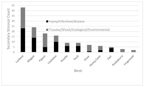 The distribution of mucus in the bronchi increases especially when the patient is in supine, prone, or lateral position. Animals Free Full Text Identifying The Stressors Impacting Rescued Avian Wildlife Html