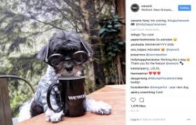 Become one of our first instagram brand ambassadors. How I Used Brand Ambassadors To Create A Killer Instagram Campaign With Practically No Budget