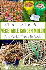 Deciding What Kind Of Mulch Is Best For A Vegetable Garden Doesn T Have To Be Intimidating Just Avoid Us Mulch For Vegetable Garden Garden Mulch Veggie Garden