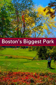 Franklin Park In Boston Has Something For Everyone Travel Best Places To Travel Franklin Park