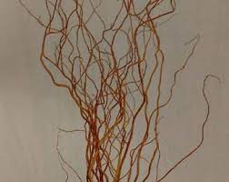 Birch Branches For Sale Birch Tree Branches 15 Tall Birch Branches Bulk Birch Branches Wholesale Birch Branches Birch Branches Branch Centerpiece Rustic Wedding Birch Branches Tree Branches Tree Branches For Sale