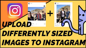 Maybe you would like to learn more about one of these? How To Post A Portrait Image Or Video To Instagram Without Cropping