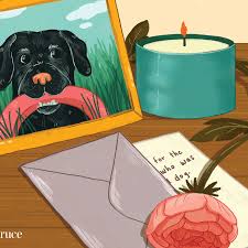 According to the pet poison helpline, cats that ingest autumn crocus may show gastrointestinal signs (for instance, drooling, vomiting and bloody diarrhea), breathing difficulties, seizures, kidney and liver damage, and even death. What To Say To Friends When Their Pets Die