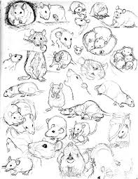 40 Free Easy Animal Sketch Drawing Information Ideas Animal Sketches Animal Drawings Drawings
