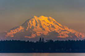 Check spelling or type a new query. Sunset On Mt Rainier Olympia Wa Rainier Mountain Paintings Mount Rainier